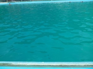 IMG-20150611-WA0012