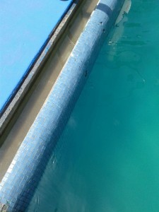 IMG-20150611-WA0015