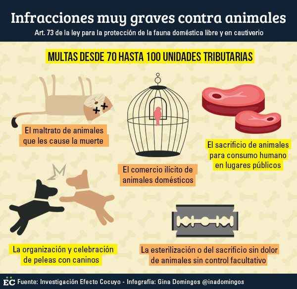 infracciones contra animales