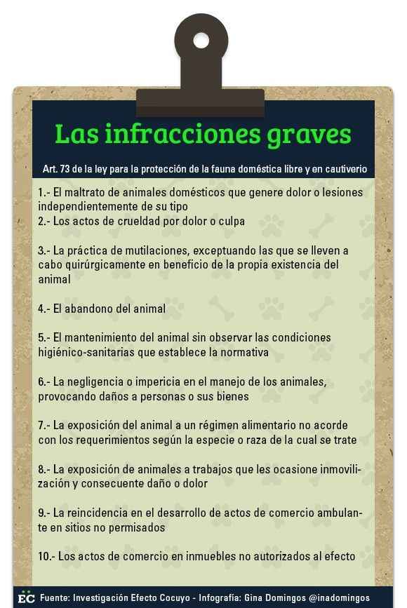 infracciones graves animales