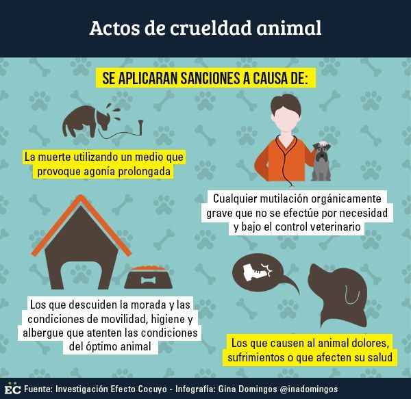 actos de crueldad animal
