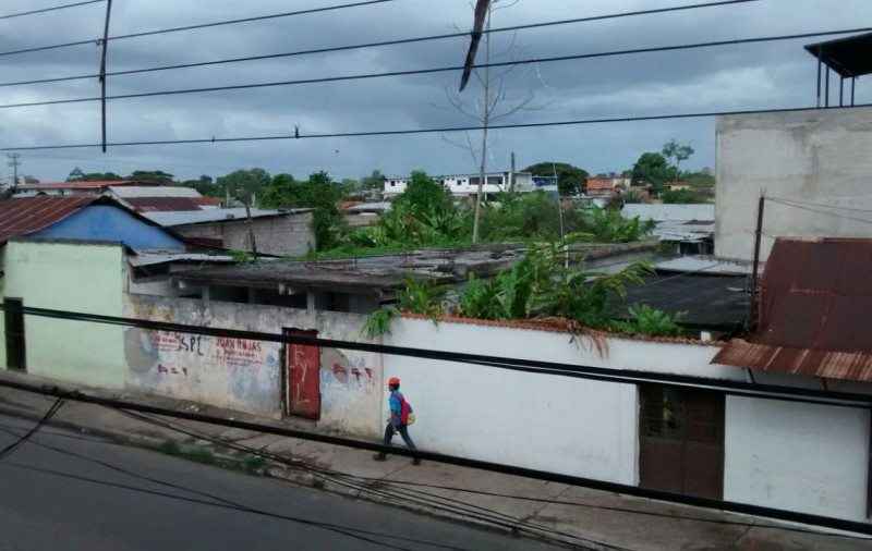 Liceo Tumeremo