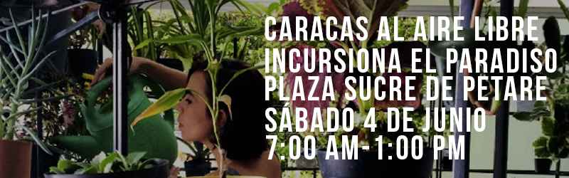 bannercaracasalairelibre (1)