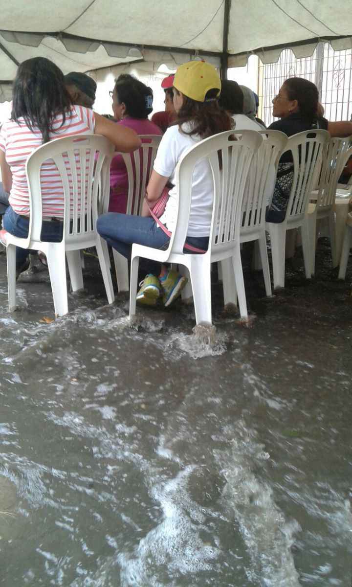 margaritalluvia2/revocatorio
