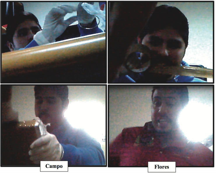 Campos_imgs_fiscalia