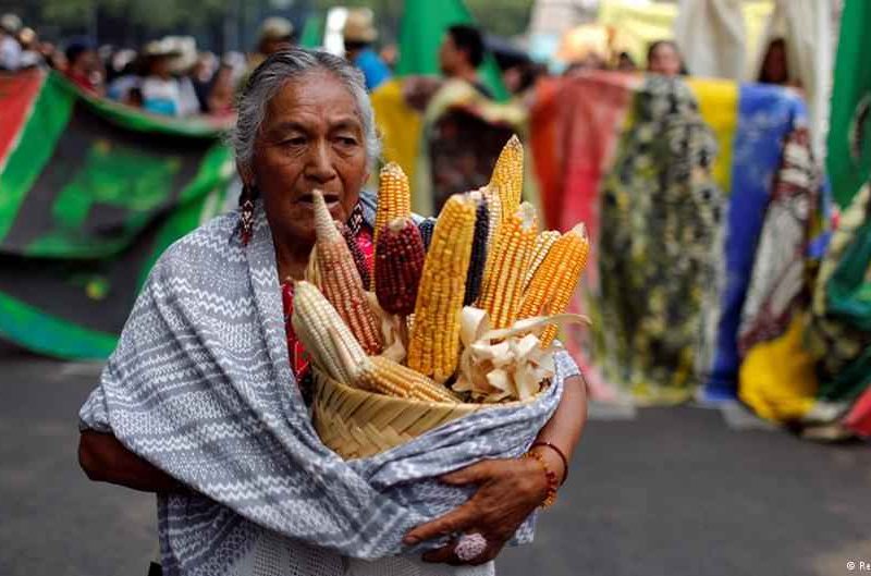 Protestas contra Monsanto en Ciudad de México el 21 de mayo de 2016. Reuters/T. Bravo