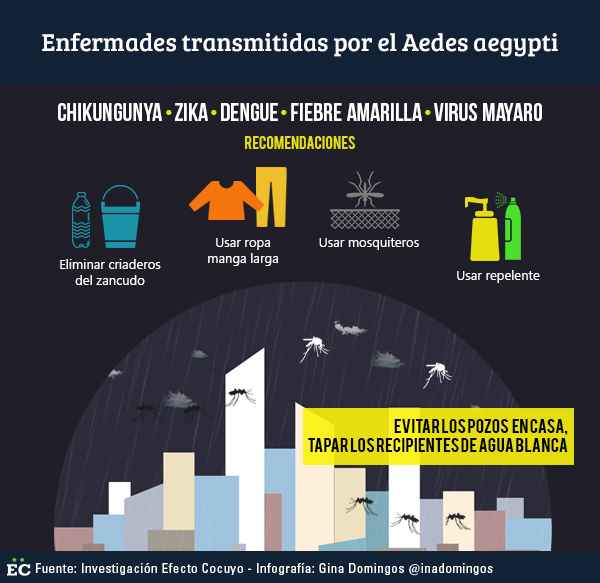 transmitida-por-mosquitos