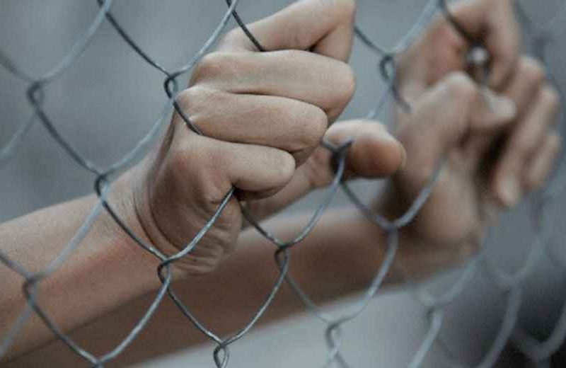 ONG asegura que la revolución judicial es "un plan cayapa de 60 días continuos"