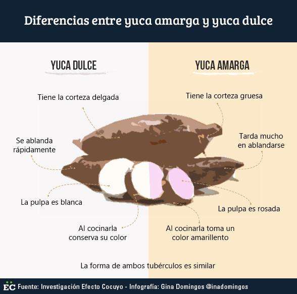 diferencia-entre-yuca-amarga-y-yuca-dulce