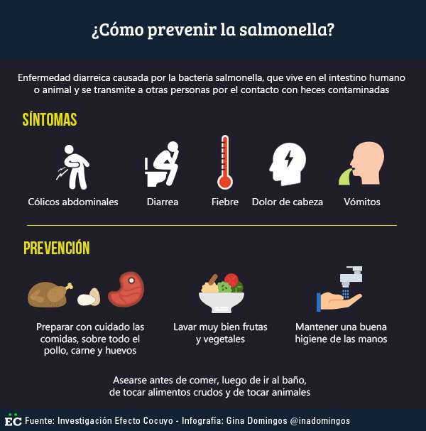 salmonella-1