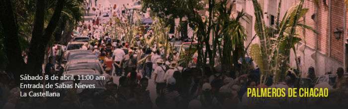 palmeros-de-chacao