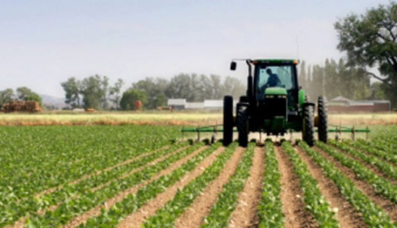 En lo que va de año, van dos intentos de sicariato en el campo, alerta Centro de Estudios Agroalimentarios