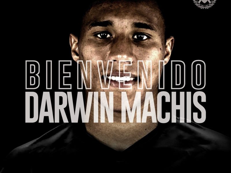 Darwin Machis