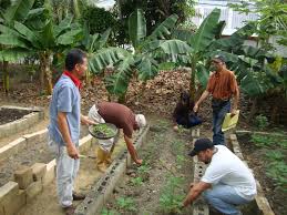 Proyecto de viveros comunitarios del Min Ecosocialismo