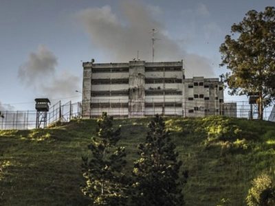 Seis militares ramo verde