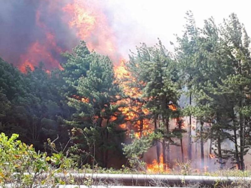 Incendio Uverito