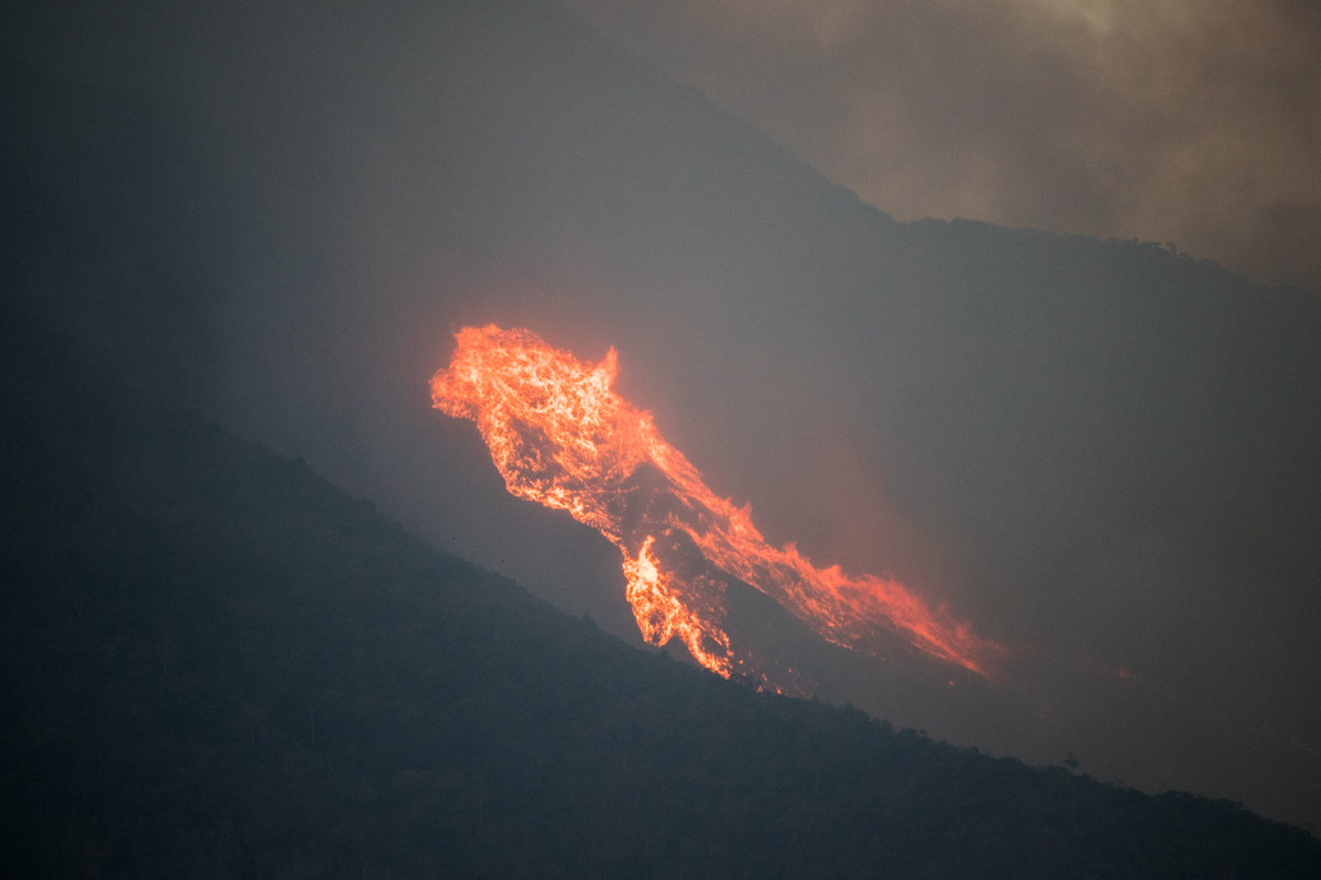 Incendio el avila