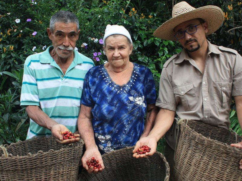 café con alas provita
