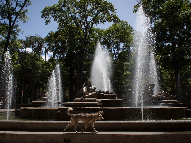 Río de Janeiro, Caracas y Valencia, entre las nuevas ciudades de la red creativa de Unesco