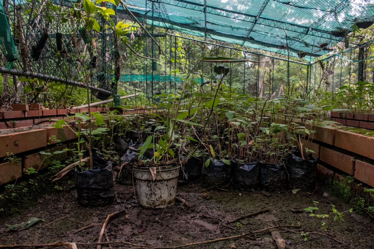 Jardin Botanico Caracas