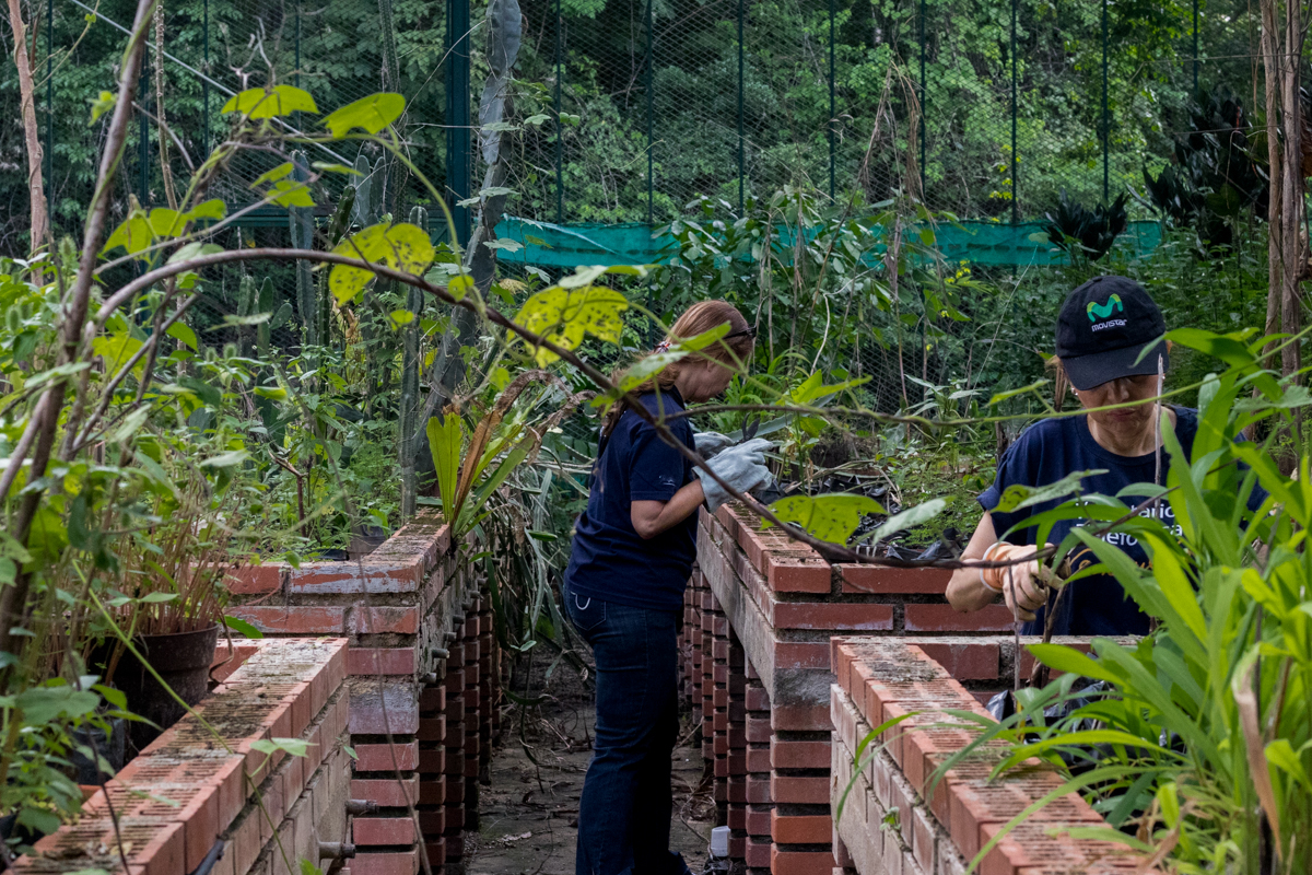 Jardin Botanico Caracas