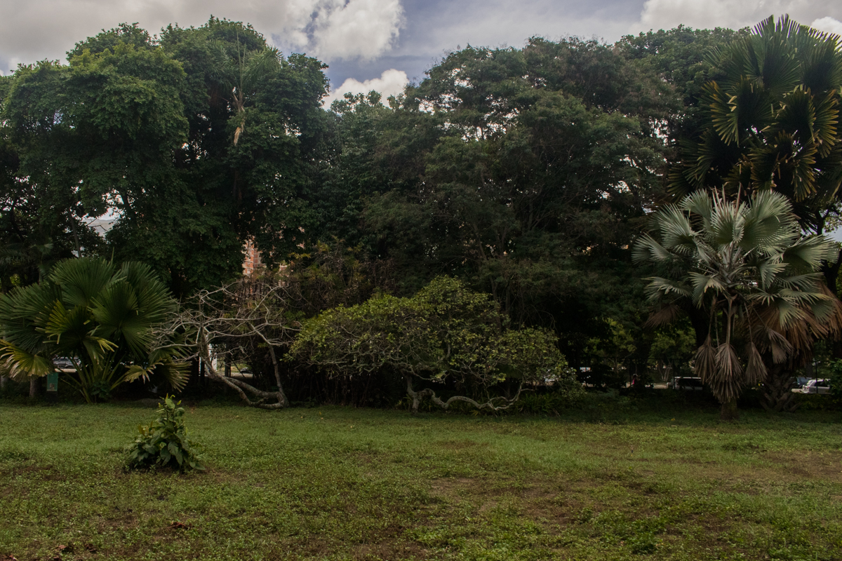 Jardin Botanico Caracas