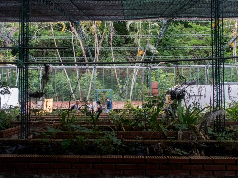 Jardin Botanico Caracas