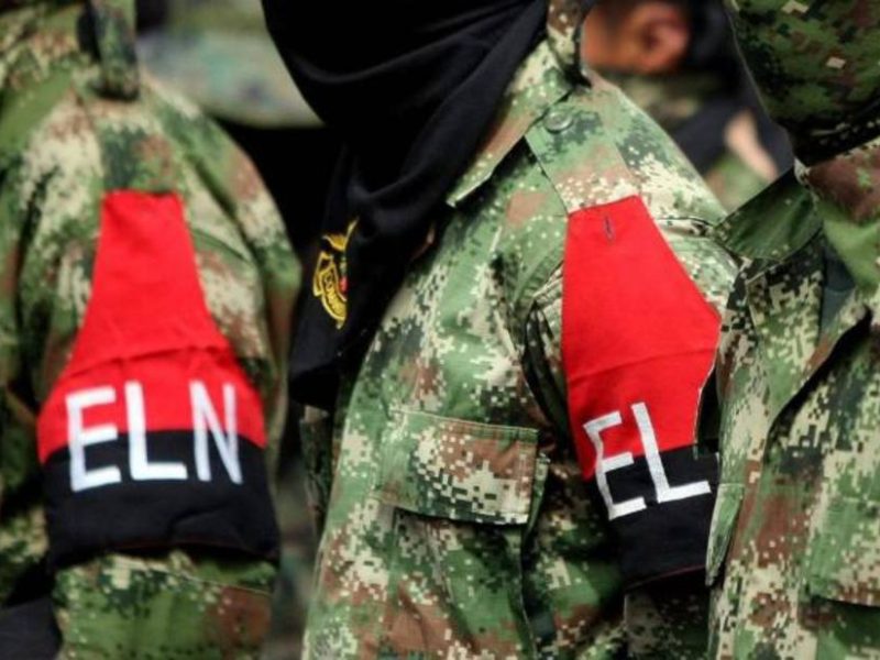 En cinco estados y 325 escuelas habría presencia de guerrillas colombianas