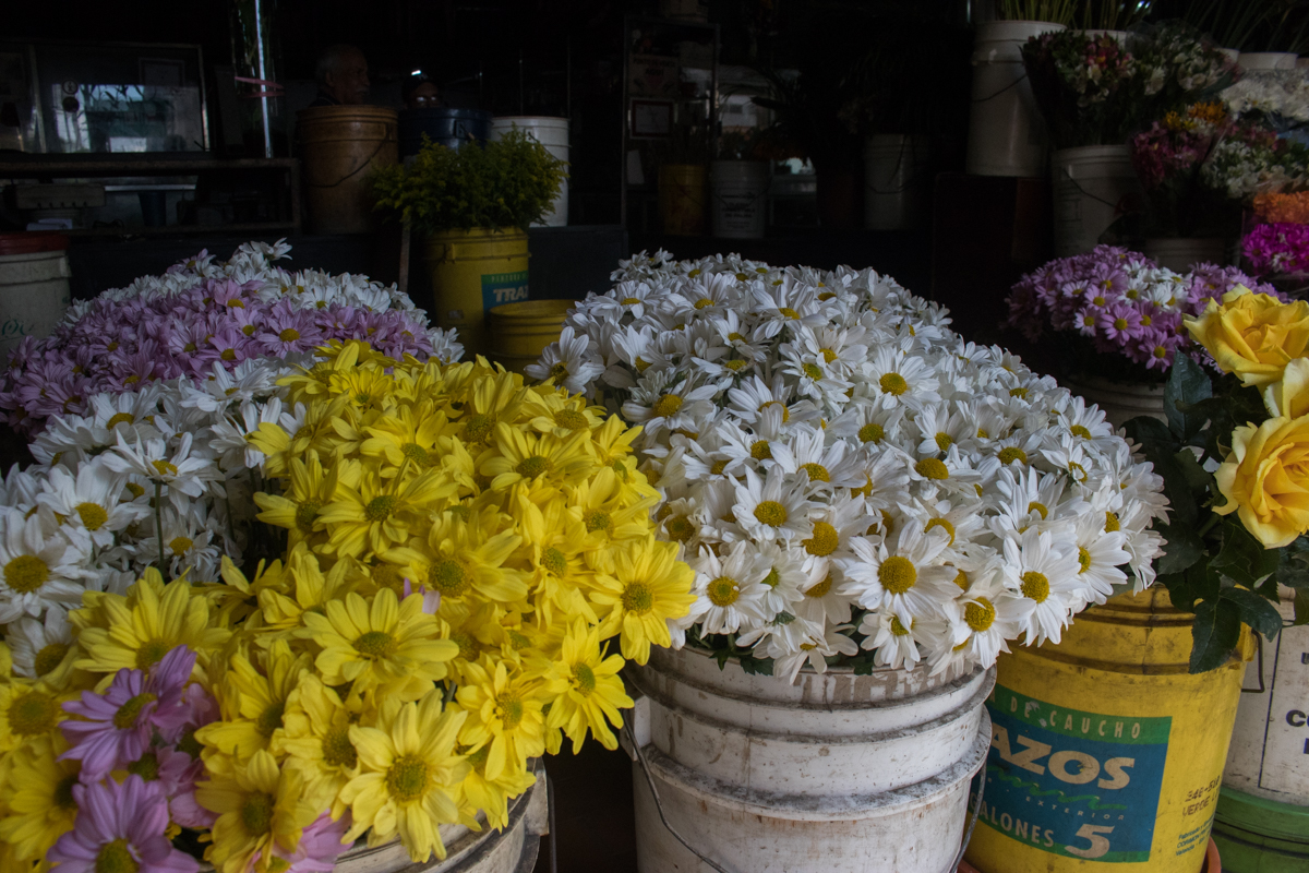flores dia de muertos venezuela