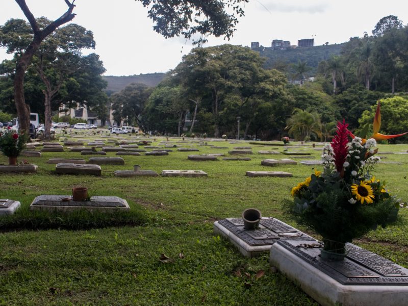 flores dia de muertos venezuela