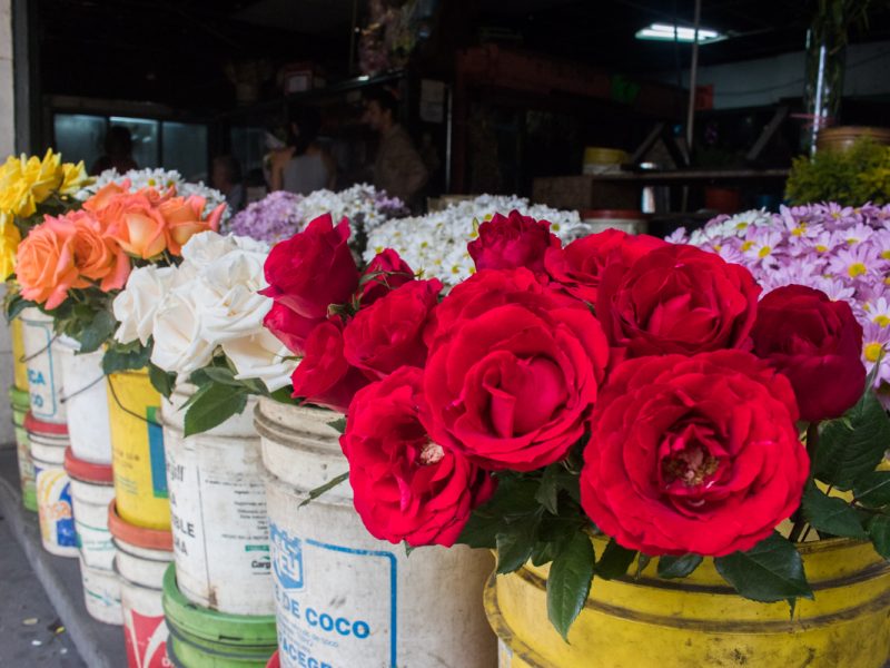 flores dia de muertos venezuela