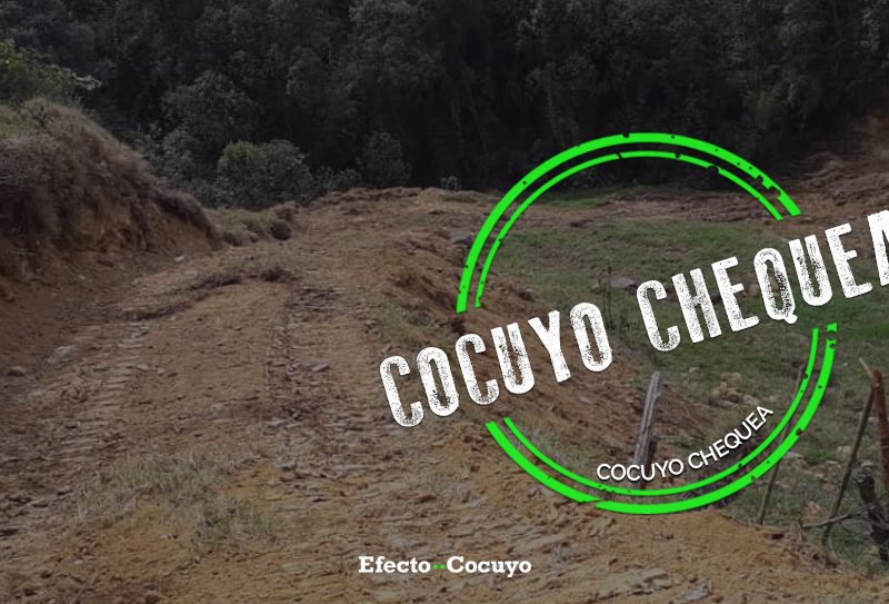 No están explotando coltán en Mérida pero sí hubo delito ambiental