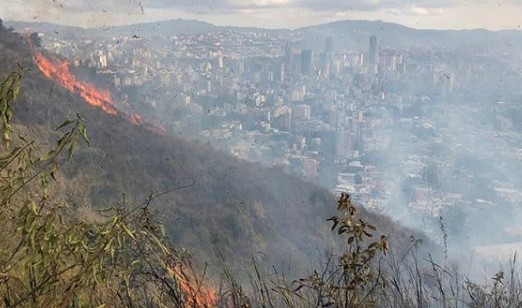 Evacúan a 20 personas de El Ávila por incendio forestal