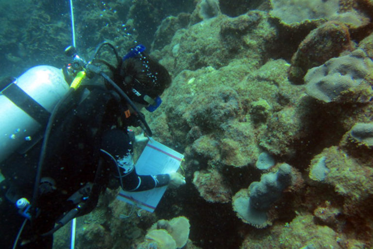 Yranzo en el proyecto Orbicella. Foto: Proyecto Orbicella