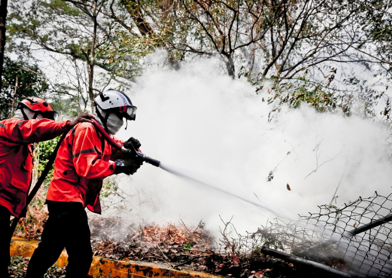 Incendio en los alrededores de El Algodonal