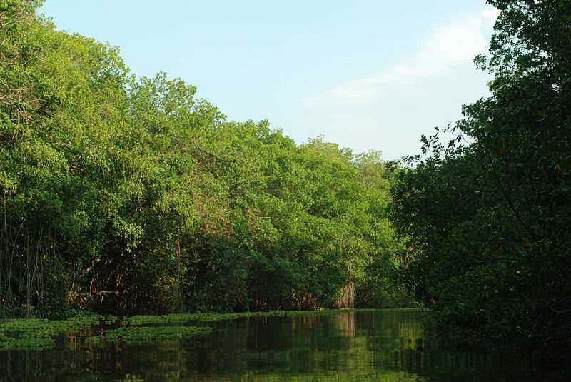 medioambiente venezuela
