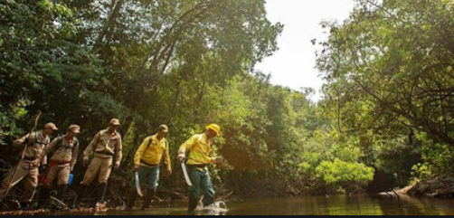 Colombia y Brasil realizarán cumbre por la crisis de COVID-19 en la Amazonía