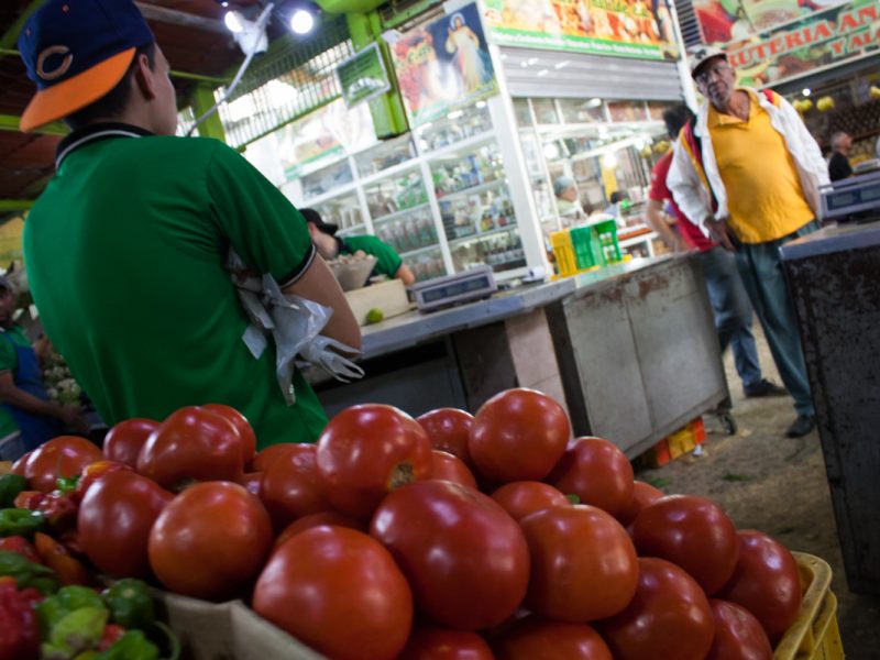 Precio del kilo de tomate sube a Bs. 20 #MercadoGuaicaipuro