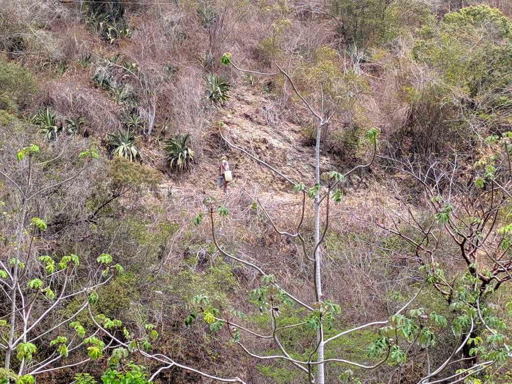 Mañana agua potable vargas