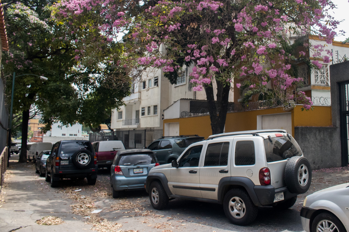 Apamates Caracas