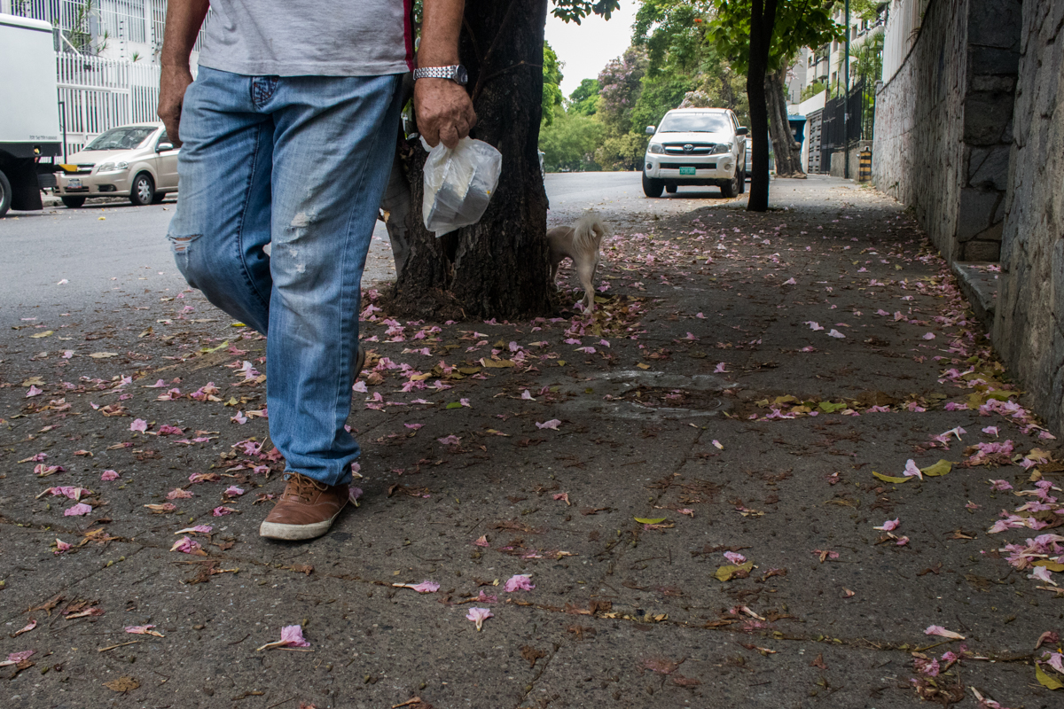 Apamates Caracas