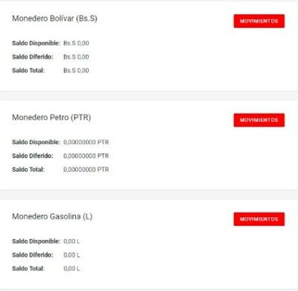 Monedero Gasolina
