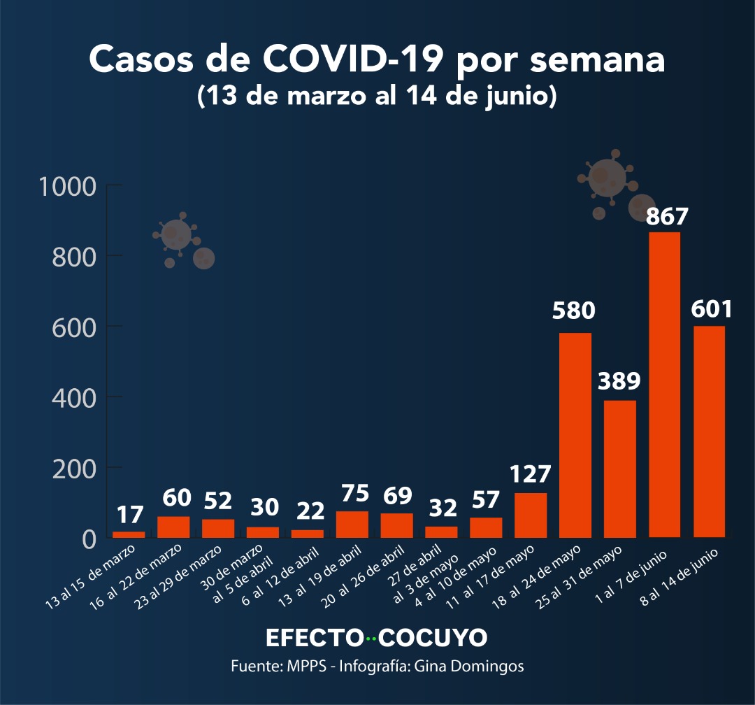 Las dos primeras semanas de junio son las semanas con más casos