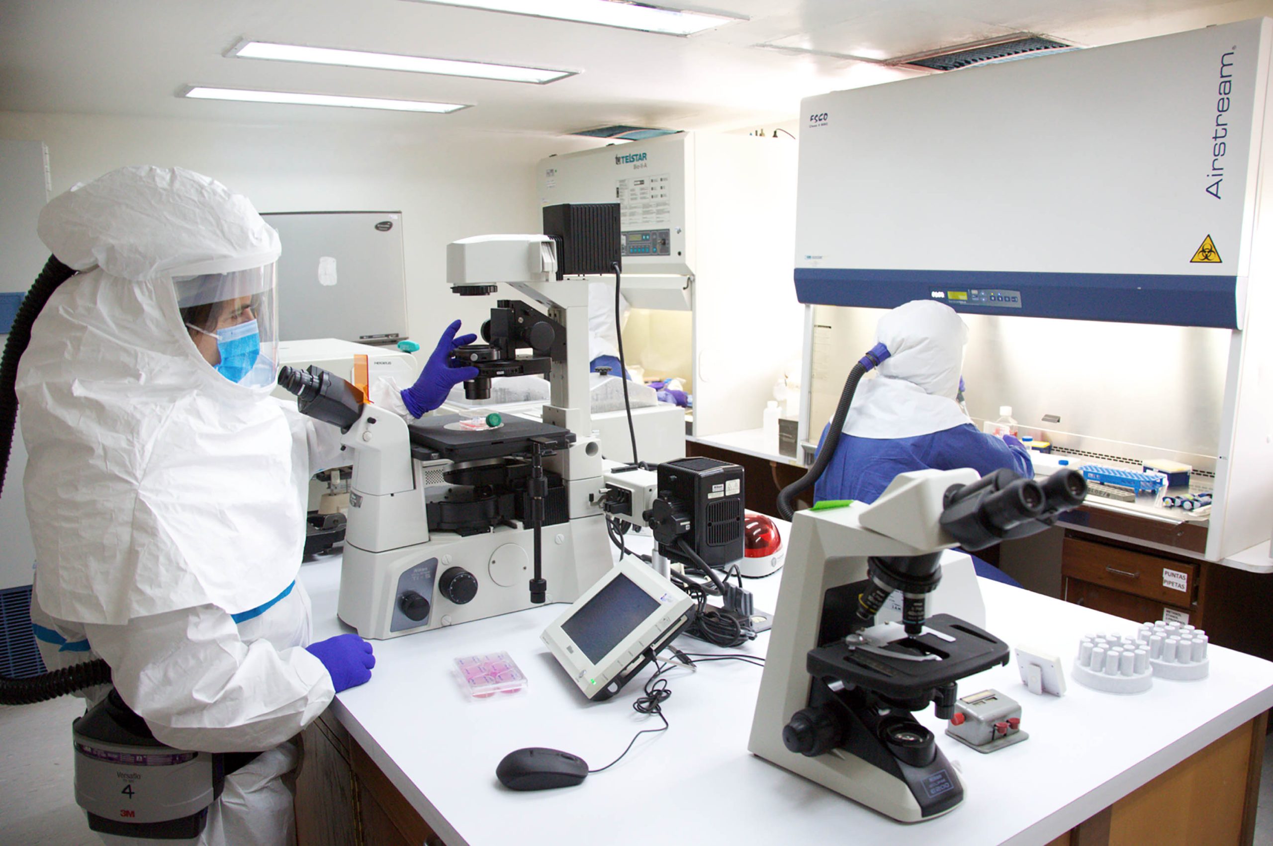 Coronavirus que circula en Venezuela no es más letal, dice ministra de Ciencia y Tecnología