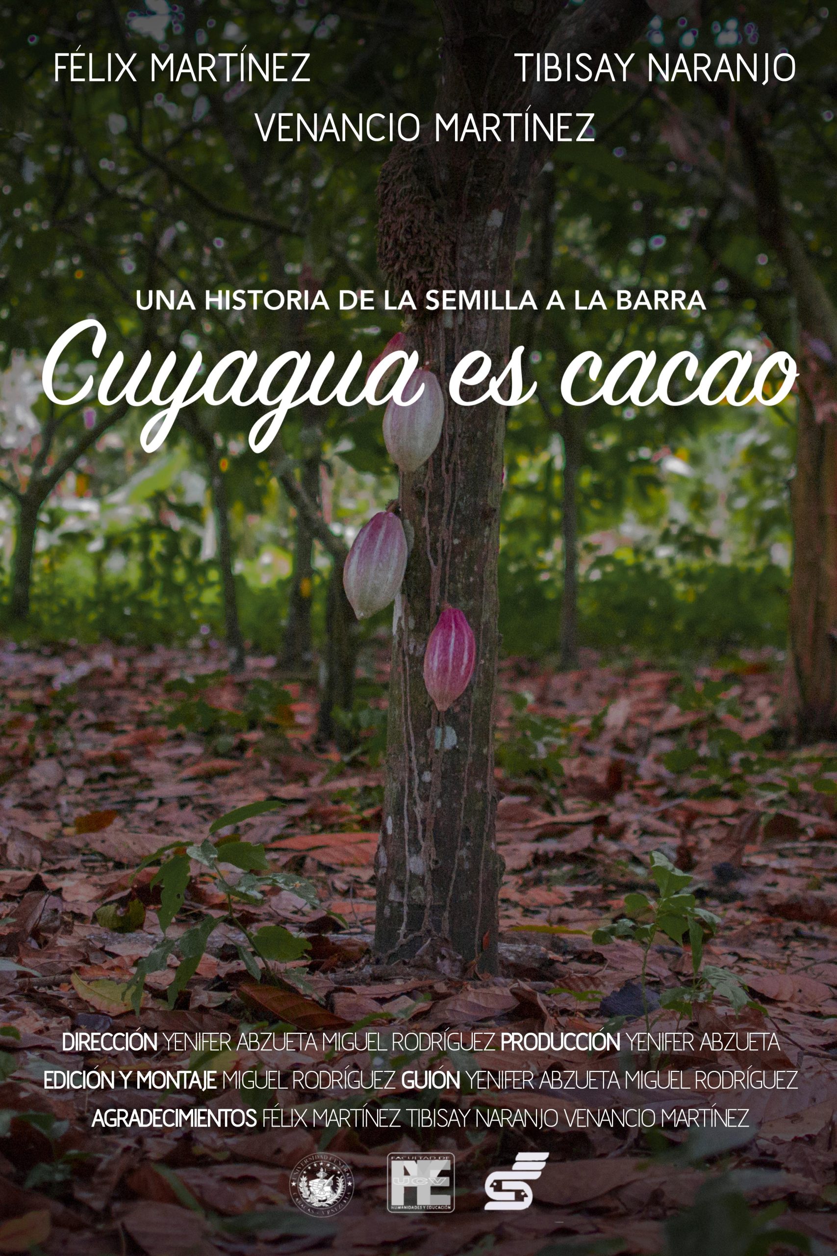 Documental UCV cuyagua es cacao