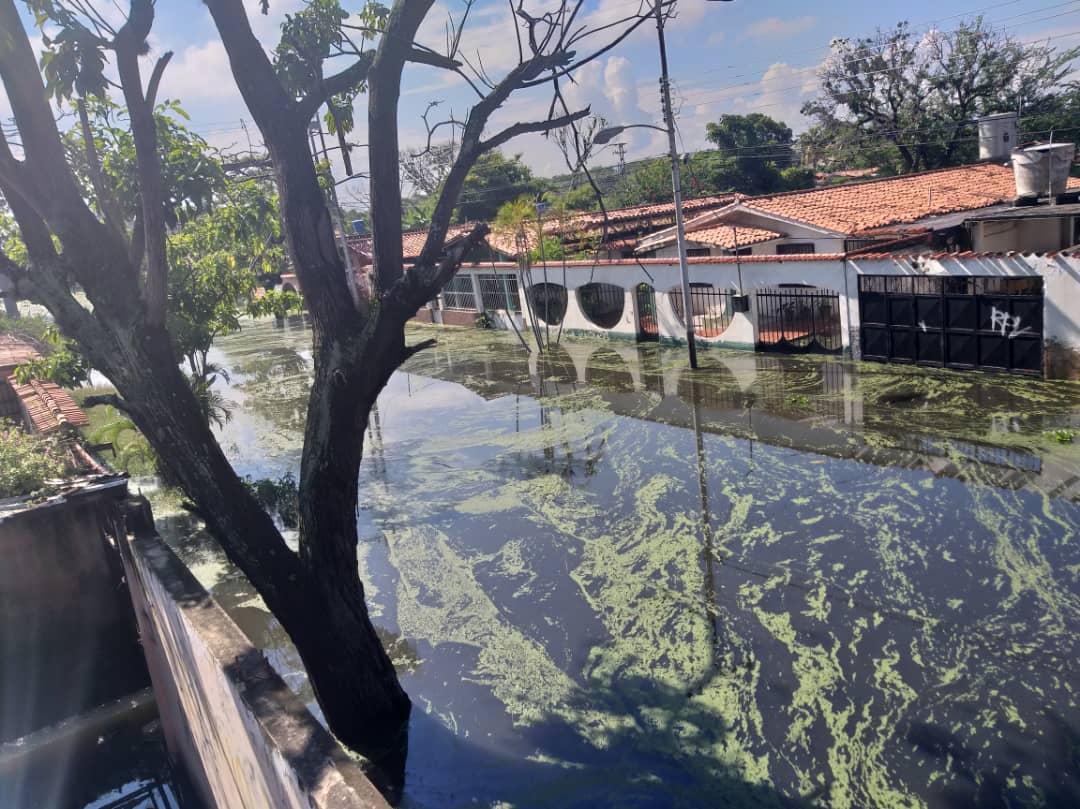 Habitantes de Mata Redonda temen a una epidemia sanitaria tras seis días con viviendas inundadas 