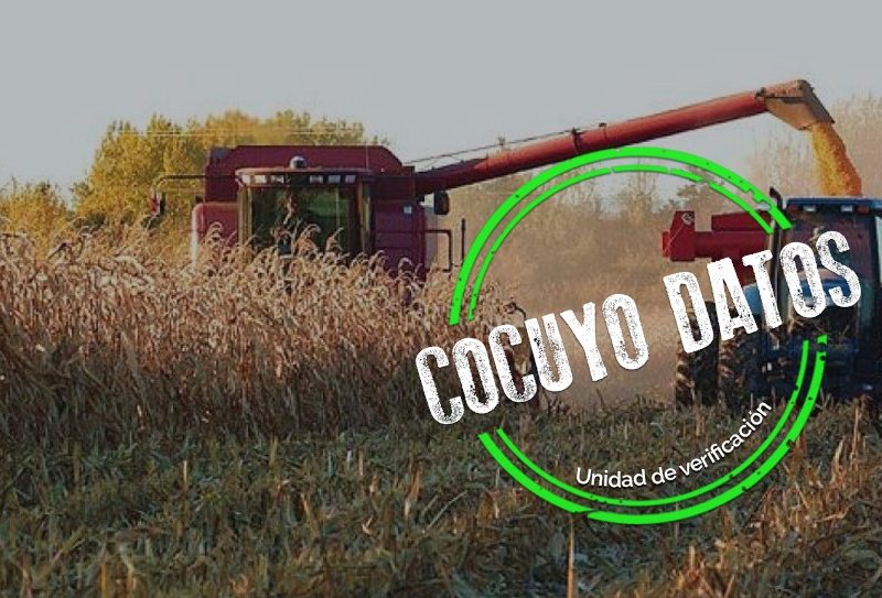 Créditos en pandemia: cartera agrícola creció más que el dólar en julio