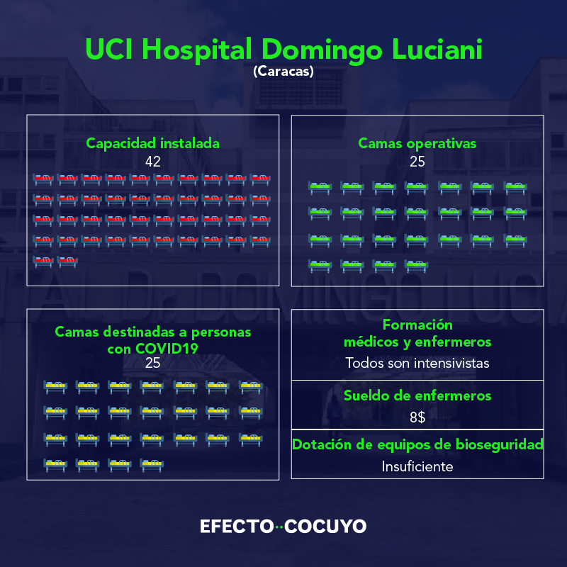 Personal Domingo Luciani
