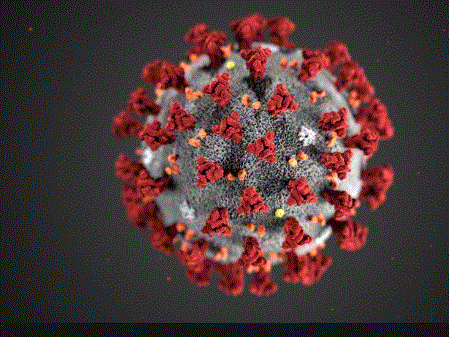 s pronto para entender consecuencias de nueva variante de coronavirus