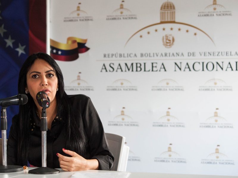 Delsa Solorzano: Chavismo pensó que se cerraría investigación sobre Venezuela por visita a la CPI